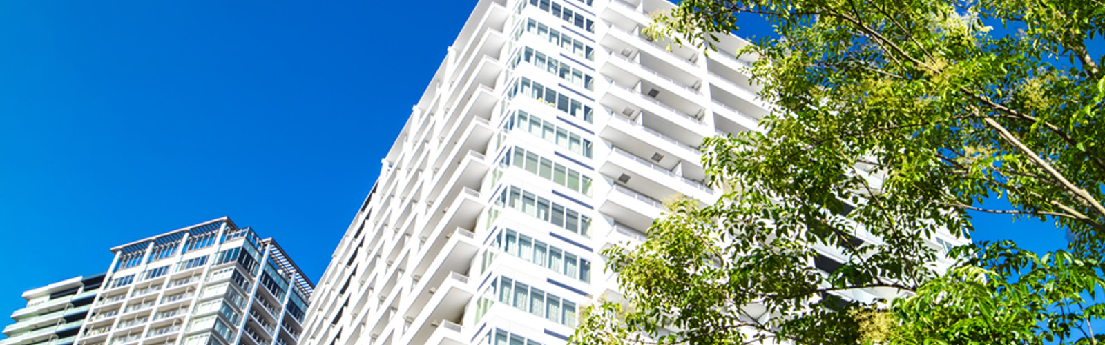 pagetitle-bg-rental.jpg